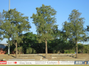 Trees on the eastern wing